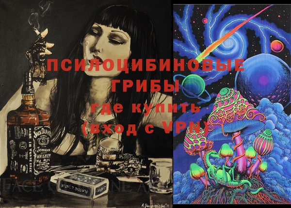 ешки Верея
