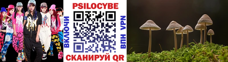 Псилоцибиновые грибы Psilocybe  магазин    Любим 